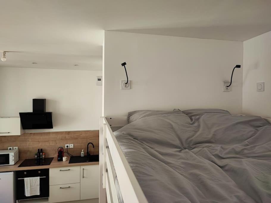 Escale Entre Cite Et Bastide Clim Wifi Smart Tv Lejlighed Carcassonne Eksteriør billede